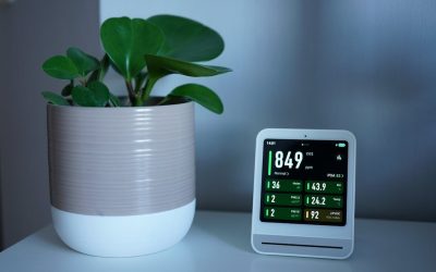 CO₂ Levels Reach Record High, WMO Warns of Climate Disaster