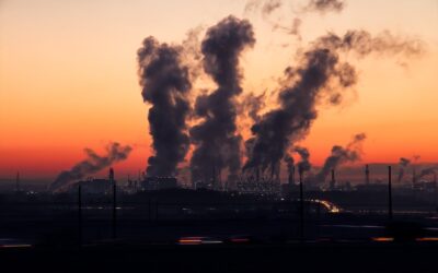 EU Emissions Rise Again by 1.1%: A Climate Warning Signal