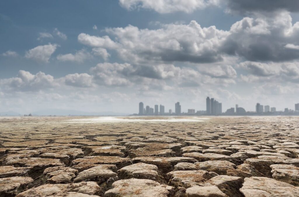 Indonesia–Japan Environmental Diplomacy in Facing the Global Crisis
