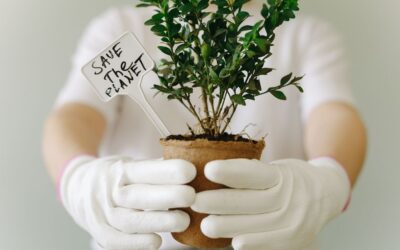 World Environment Day 2026