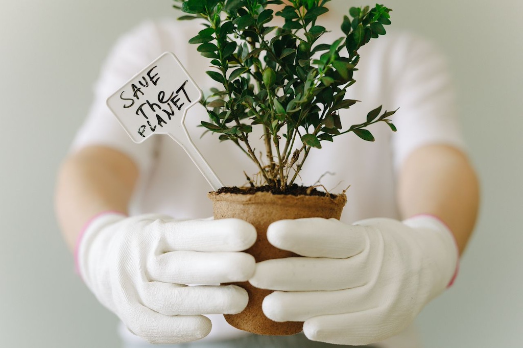 hands-wearing-gloves-holding-a-green-plant-with-message-on-the-side hands wearing gloves holding a green plant with message on the side