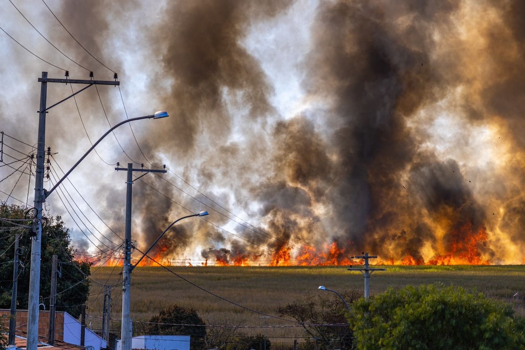 burning-grass-in-countryside burning grass in countryside