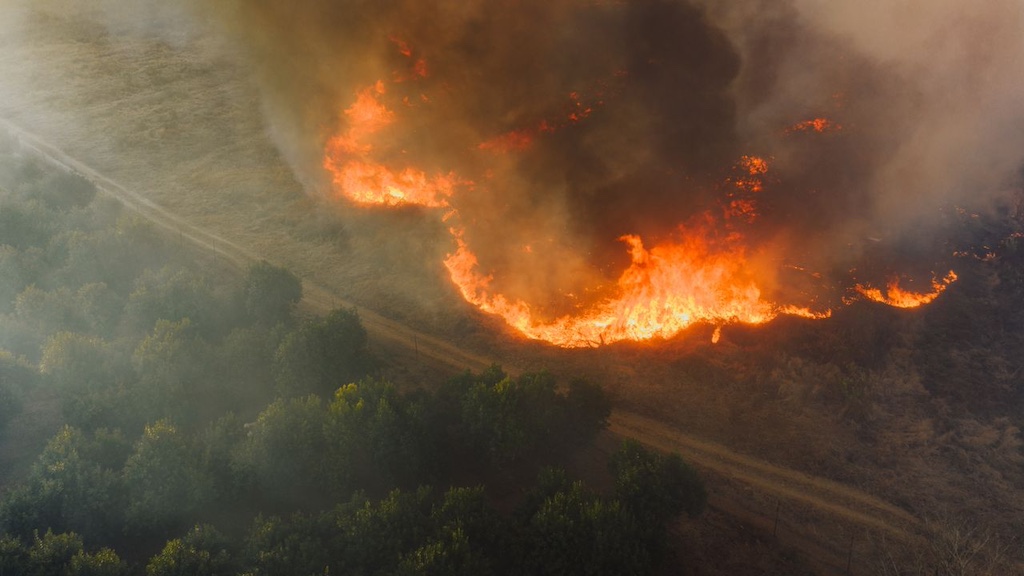 Aerial view of wildfire in South African Forest