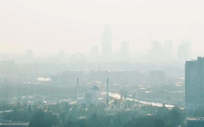 The Threat of Carbon Emissions from Forest and Land Fires