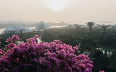 Air Pollution in Singapore Worsens Ahead of the F1 Grand Prix